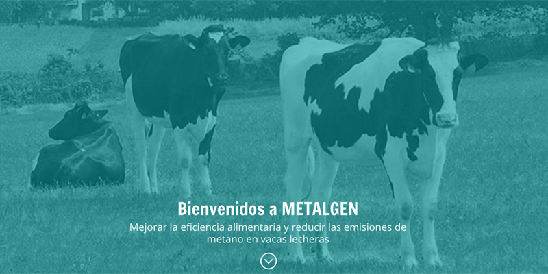 CONAFE y METALGEN trabajan en la mejora de la eficiencia alimentaria y la reduccin de emisiones de metano en vacas lecheras