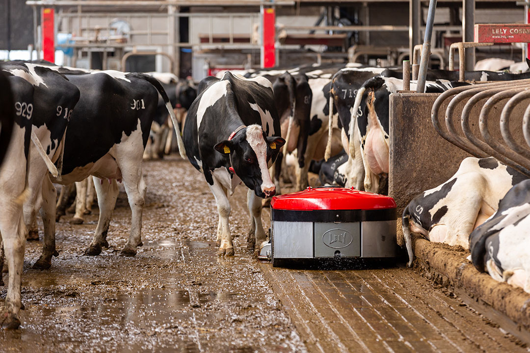 Lely Presenta Discovery Collector C2 Un Nuevo Robot Para Limpiar Naves